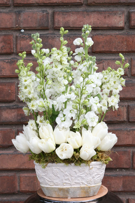 Vancouver Flowers, Celsia Floral Arrangement